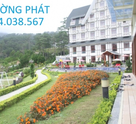 CỬA NHÔM XINGFA Q.BÌNH THẠNH